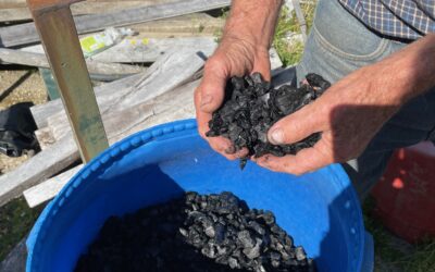 Kev Dowman – The Soil Improver who wants to solve the problem