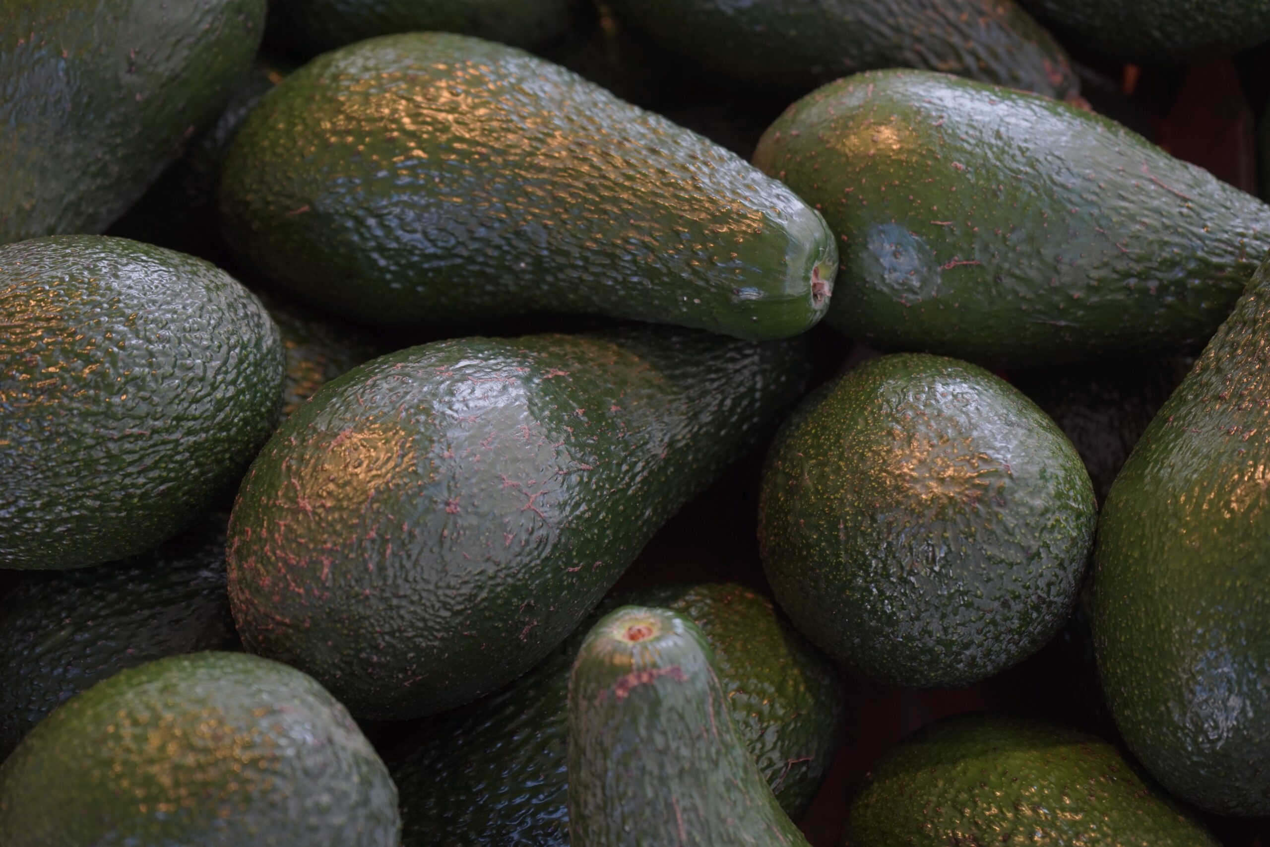 Avocados
