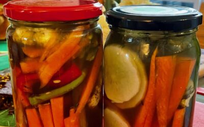 Recipe – Celery Brine Fermented Vegetables
