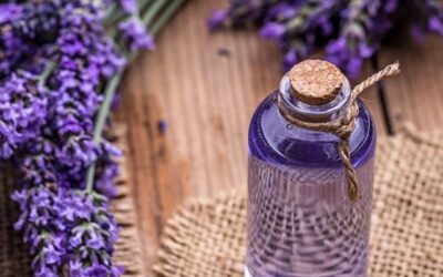The Calming Power of Lavender: 7 Evidence Based Ways to Use This Timeless Remedy