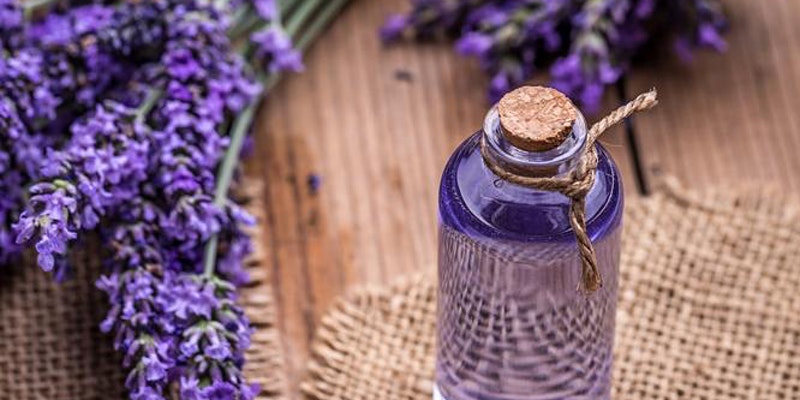 Lavender Essential Oil